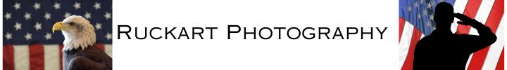 Gallery Banner